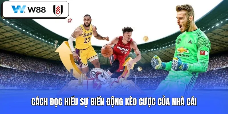 Cách đọc hiểu sự biến động kèo cược của nhà cái