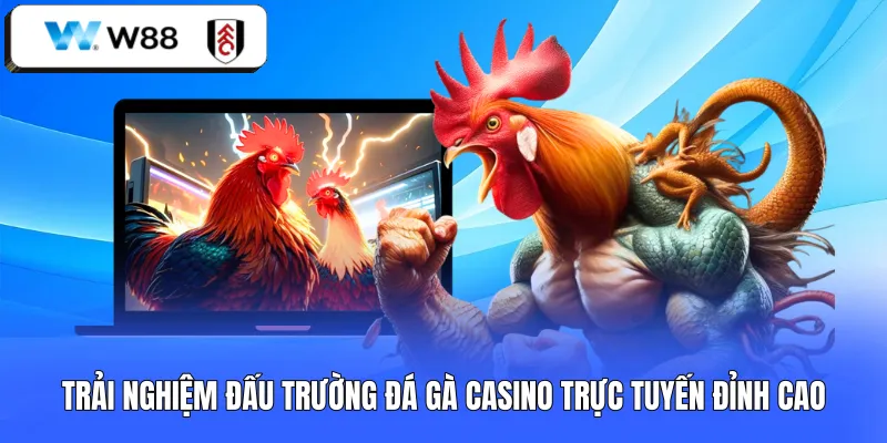 Trải nghiệm đấu trường đá gà casino trực tuyến đỉnh cao 